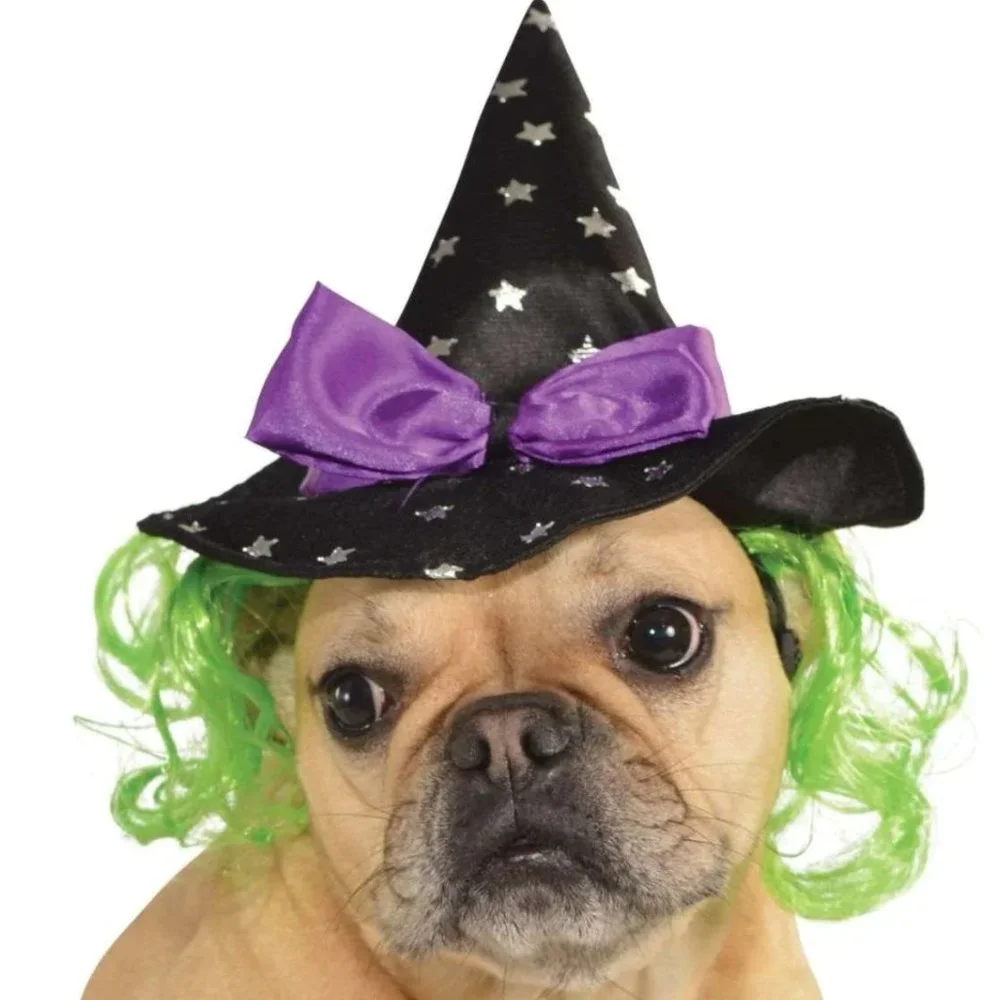 NWT Witch Hat With Green Hair for dogs or cats!